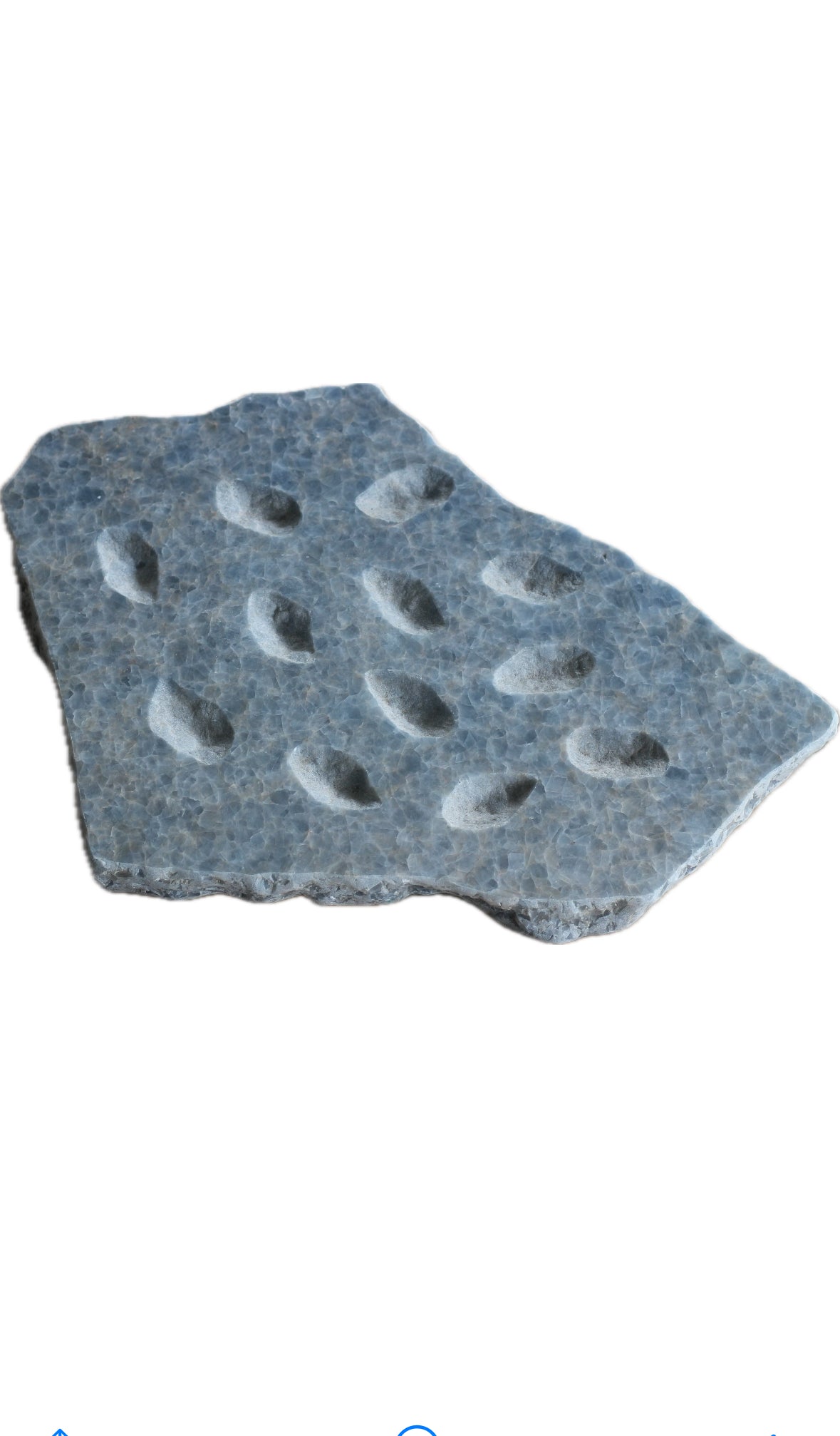 BLUE CRYSTAL OYSTER PLATTER