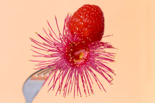 Summer Raspberry